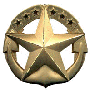 Command-at-Sea-Pin